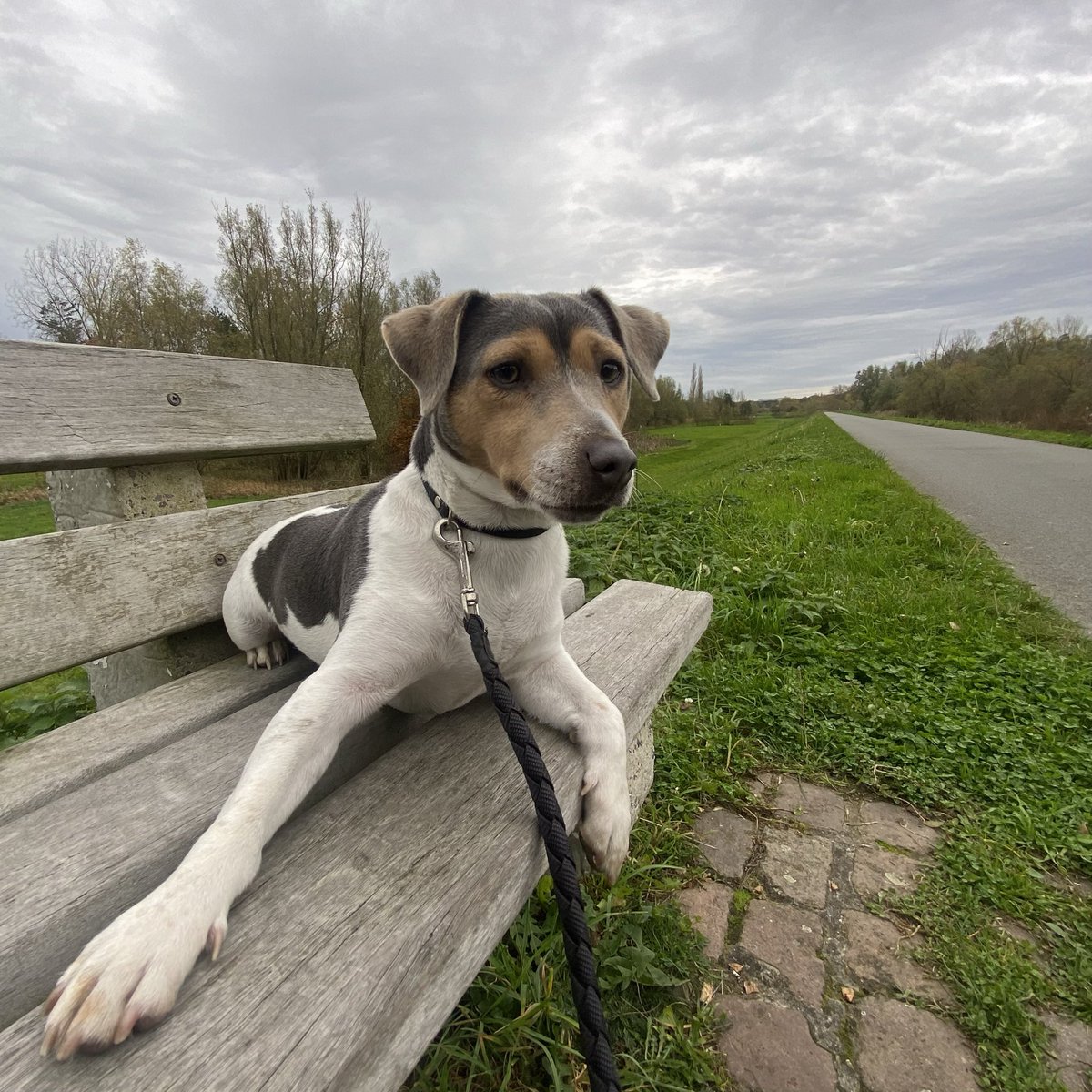 #vrtweer <a href="/Weerbord/">Weerbord☀️☔️</a> <a href="/MeteovistaBe/">meteovista.be</a> <a href="/HetweerinBelgie/">Meteo Reni - Het weer in België</a> <a href="/BuienradarBE/">BuienradarBE</a> <a href="/HendrikRemue/">hendrik.remue@gmail.com</a> 
Melle, 10/11, 15.19,