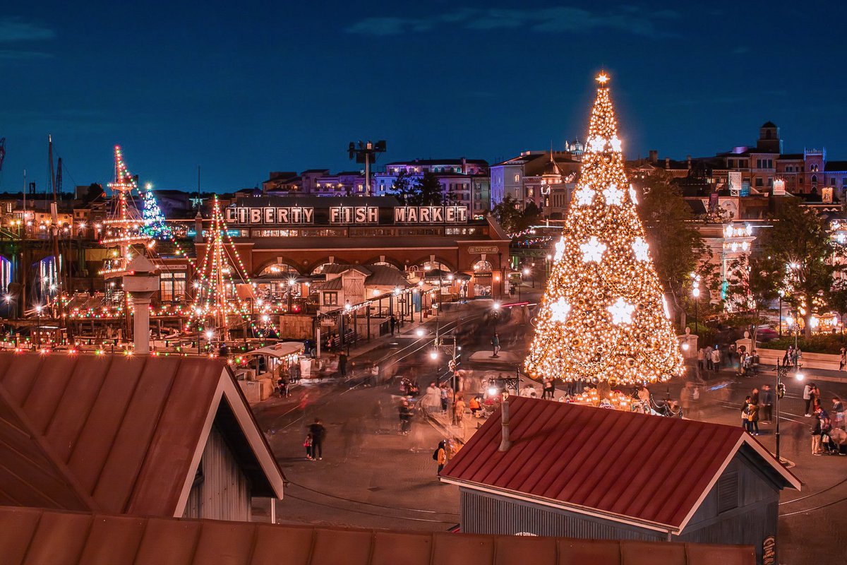 remidisneyphoto's tweet image. 明日からディズニークリスマス。