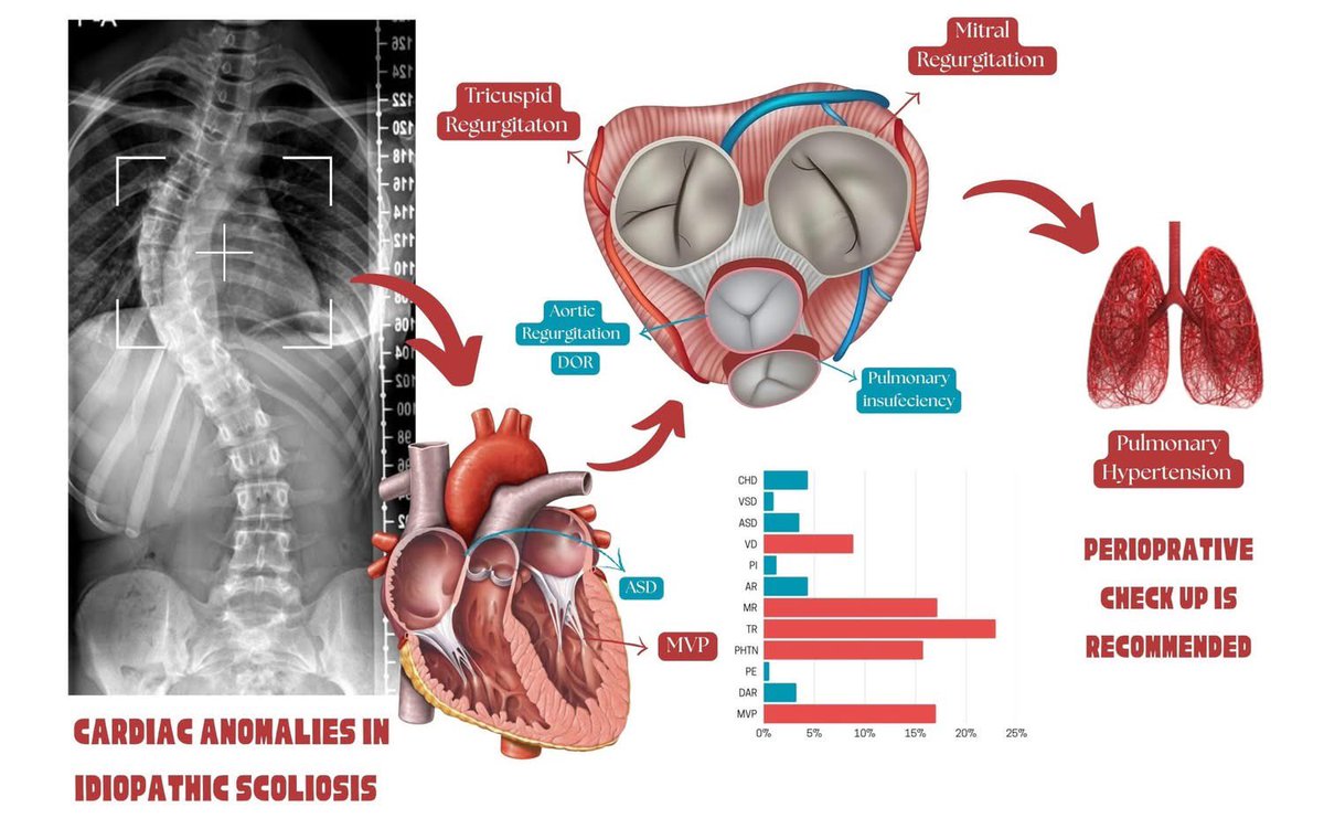 Mohanad Abdelfattah, MD tweet media