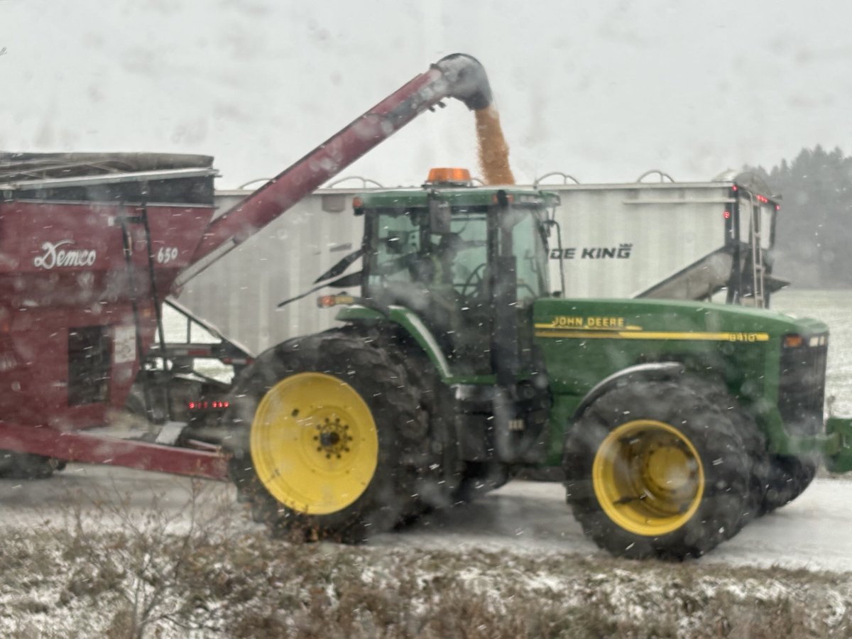 Mike pearson tweet media