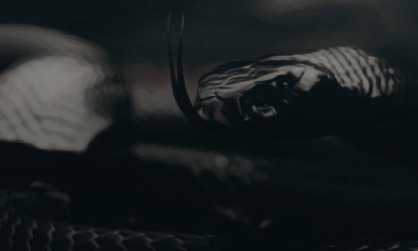 RedeemedFate's tweet image. 