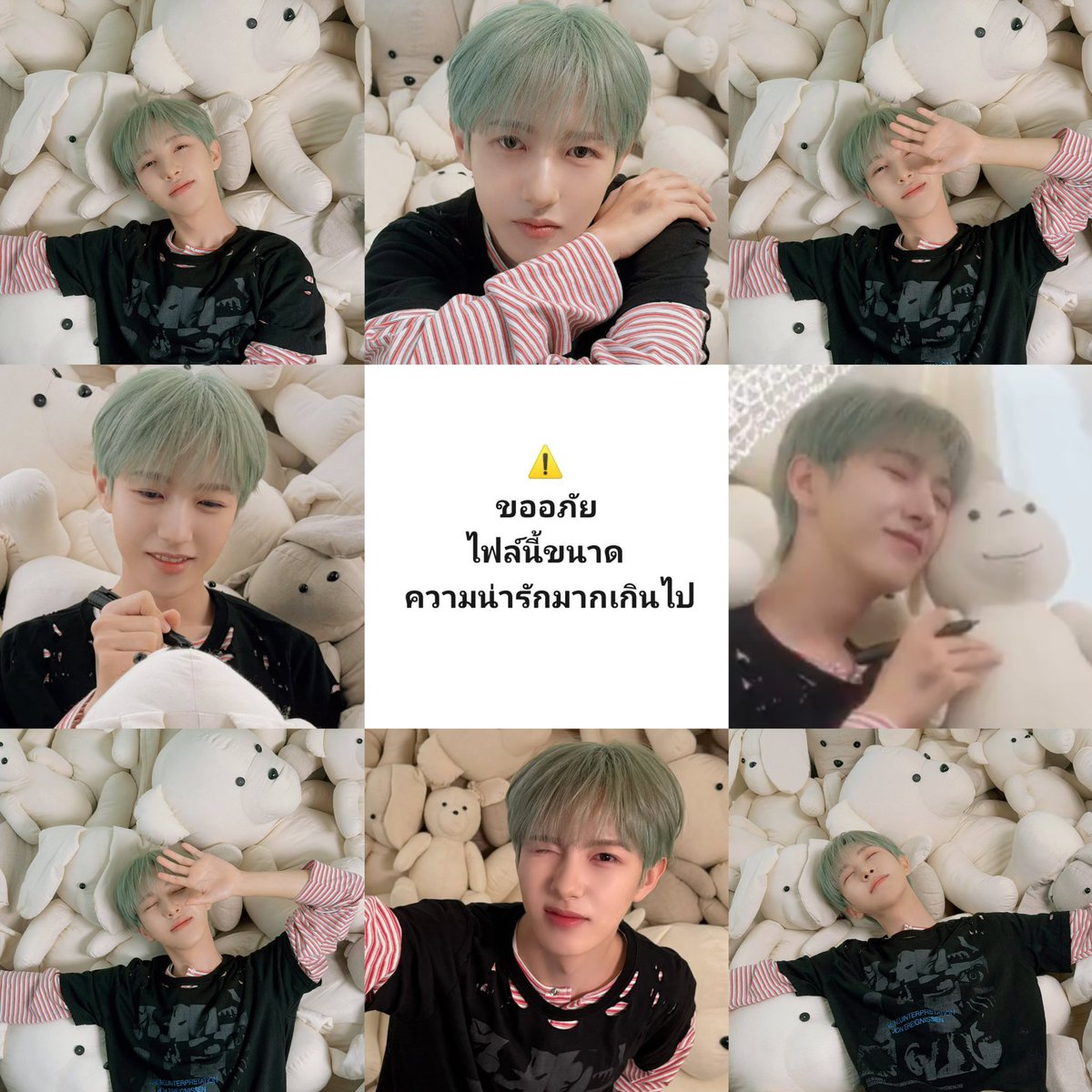 ⓘ แม่ ๆ โปรดระวัง! ไฟล์นี้มีขนาดความน่ารัก
มากเกินไป! ˙Ⱉ˙ 🪽☁️🎀👼🏻