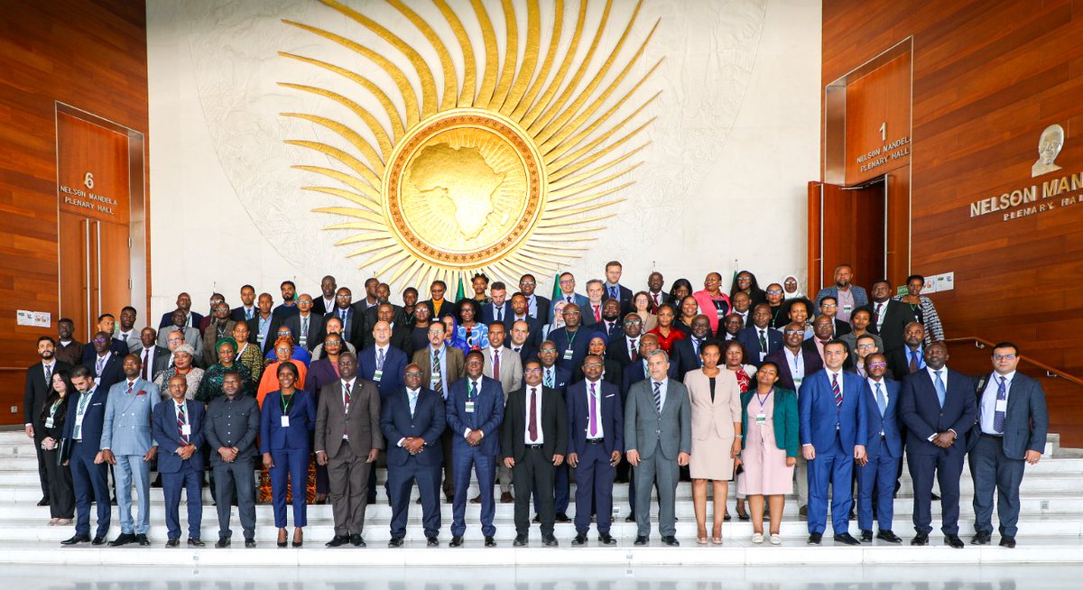 IOMatAU's tweet image. At the AU 5th STC Migration, Refugees &amp;amp; IDPs, Member States called for stronger action on the #MissingMigrants tragedy-addressing root causes, responsibility sharing, transnational coordination, improving data &amp;amp; dvping continental guidelines to uphold dignity &amp;amp; support families.