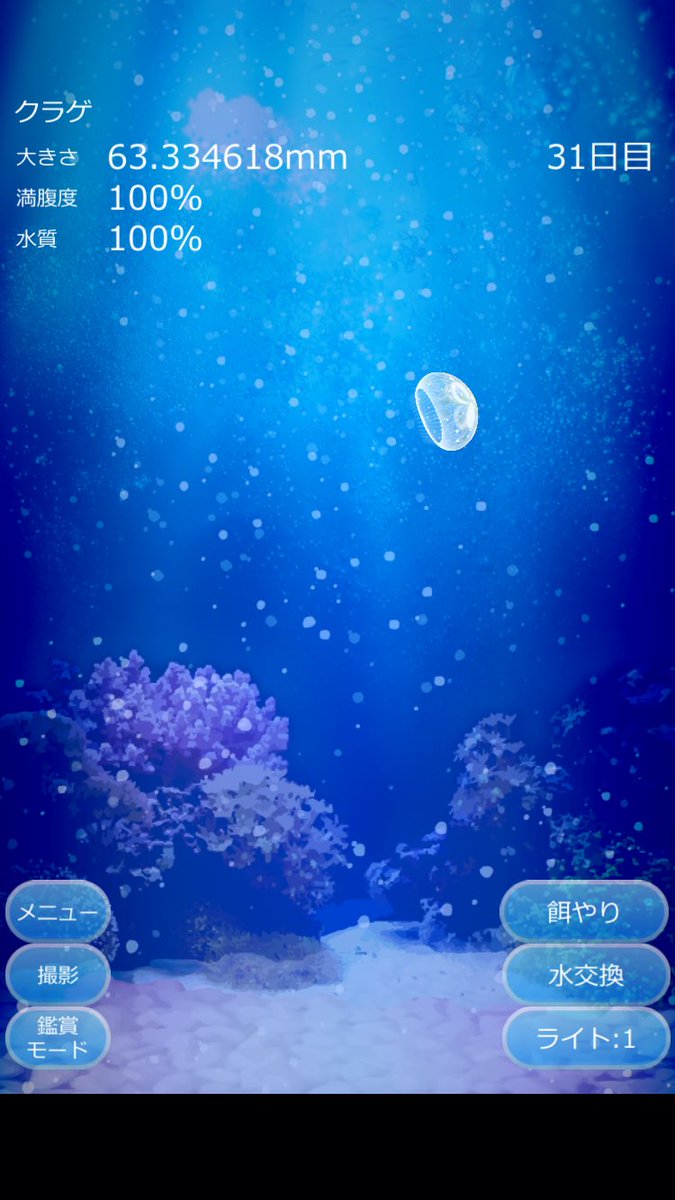 1ヶ月経ちました