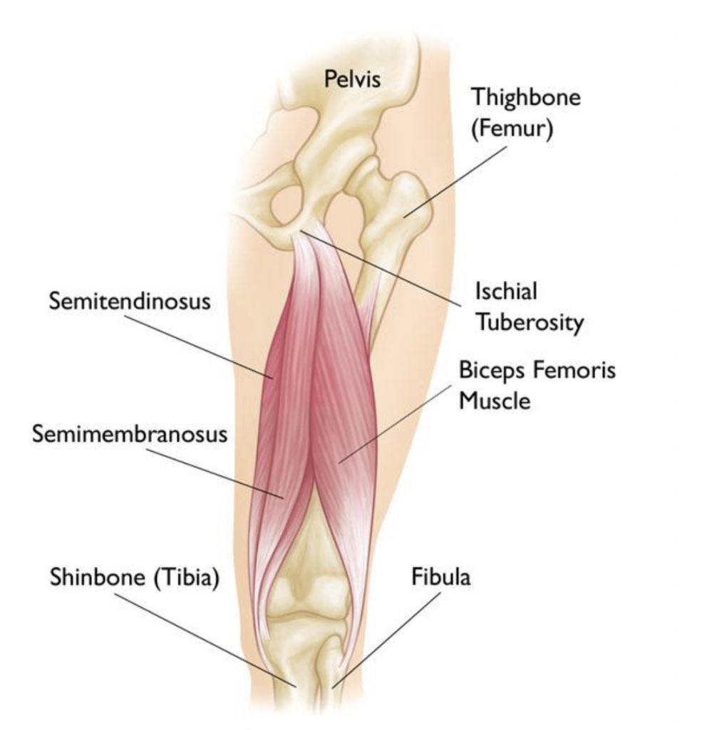 Έχουν περάσει 18 ώρες και ακόμα οι ασπρόμαυροι οπαδοί πιστεύουν ότι ποδοσφαιριστής μπορεί να πάθει θλάση από μαρκάρισμα αντιπάλου. 

#paofc #paok ☘️