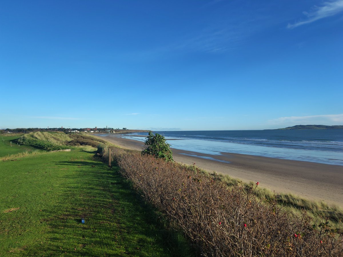 Not bad weather for a November morning in Dublin ⛳☀️