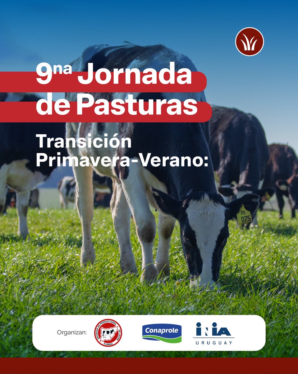 _splf's tweet image. Todo lo que tenés que saber sobre el manejo del pasto para lograr óptimos resultados! 🌱
➕cosechas ➕ reservas ➖costo 

🗓️ Viernes 14 de Noviembre
⏰ Hora 14:30
📍 Establecimiento “El Horizonte” de Irene Cruz y Leandro Alanís, Colonia 33 Orientales.