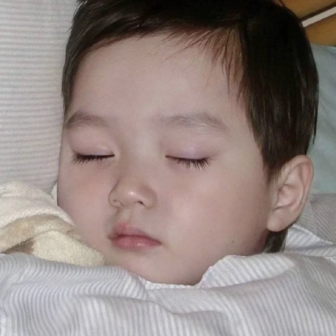 むしあつい🪽 tweet media