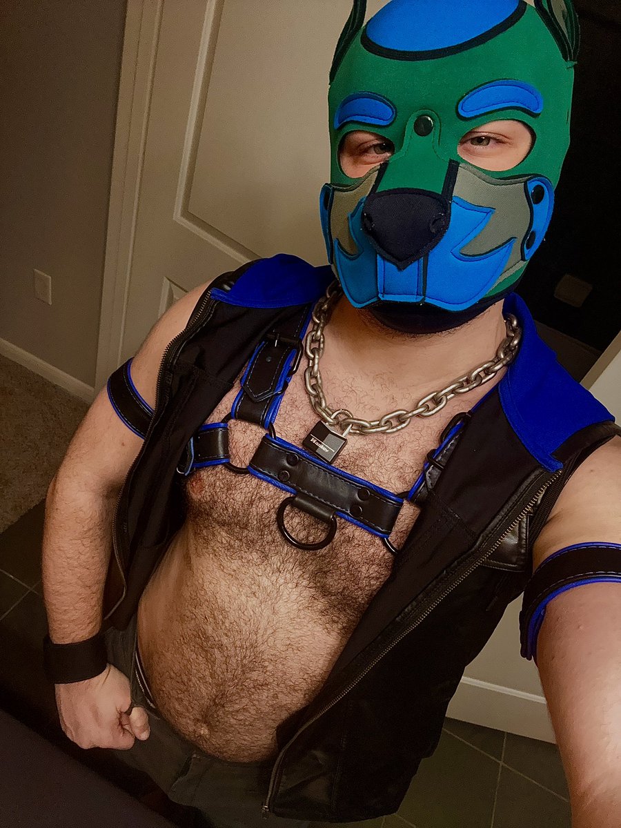 Leather doooooog :3