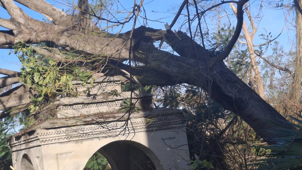 ritabwunicef's tweet photo. From what I understand my old church, the 300 y-o #Lucea Parish Church, is undamaged by #HurricaneMelissa -- apart from the Sanftleben tomb, it seems. Thankful. From the pix on the Diocese of Jamaica @DioceseofJACI site, many have it infinitely worse.
https://t.co/9kCNiDKAVu https://t.co/XuG3l3nEb2