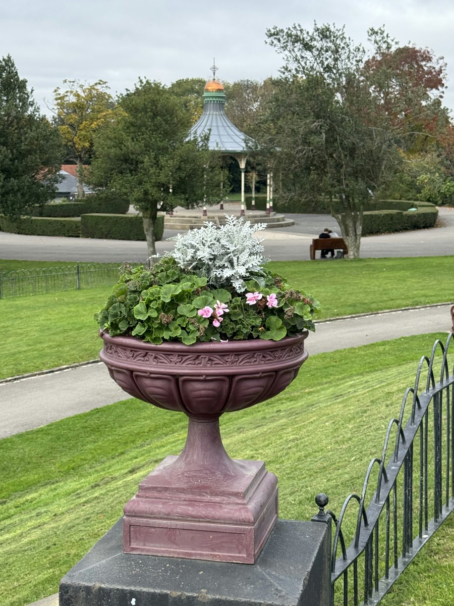 Lost Art Limited tweet media