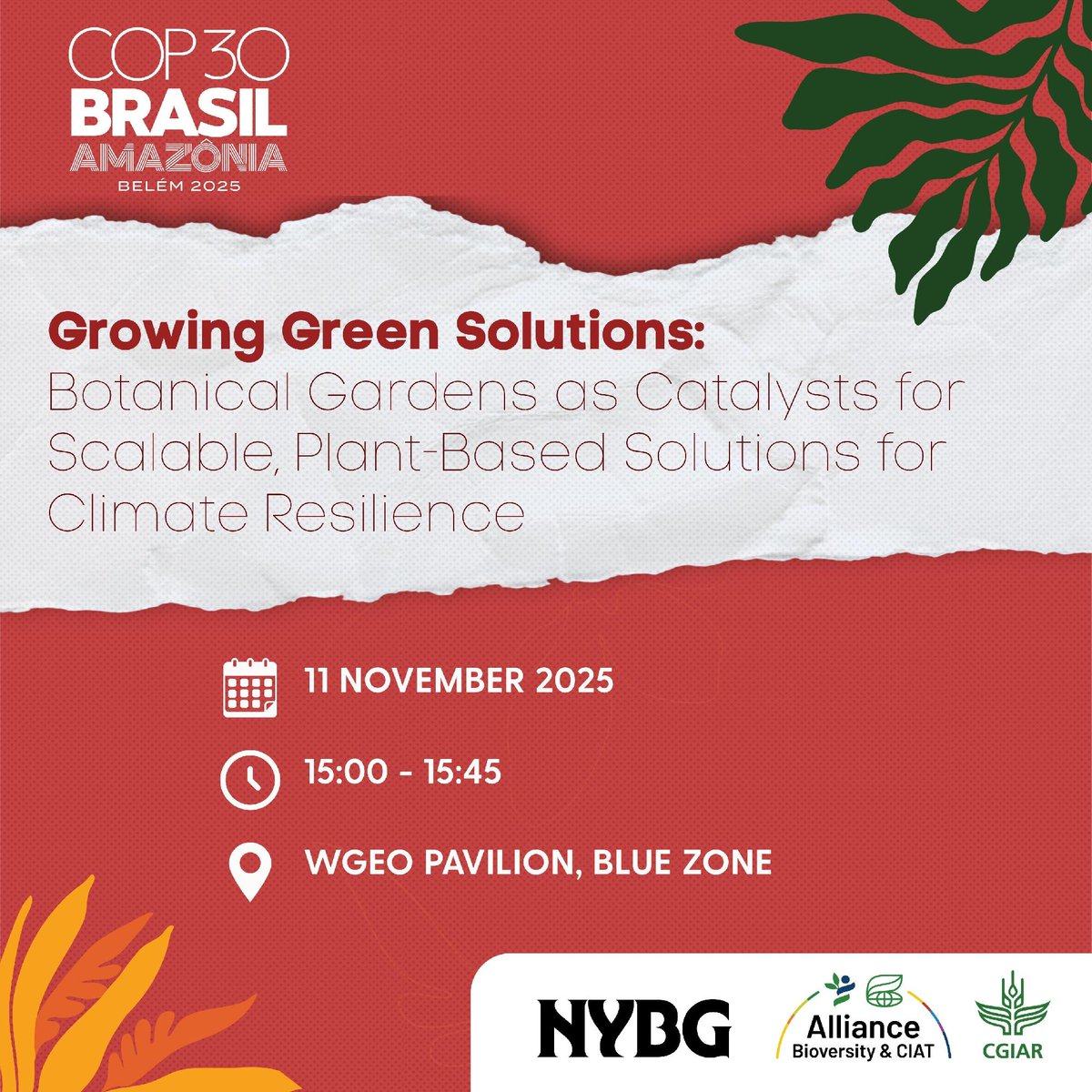 BiovIntCIAT_eng's tweet image. 🌿💧 At #COP30, we’re exploring how to accelerate climate resilience &amp;amp; sustainable food systems.
Join us:
📌 11 Nov | Botanical Gardens as Catalysts for Solutions
📌 18 Nov | Global Goal on Adaptation
👉 allbiociat.org/3WwDWzJ