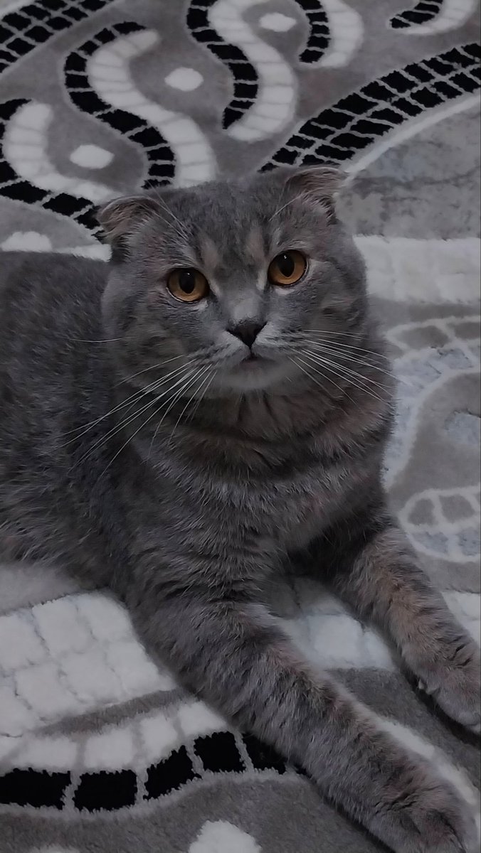 Doğan KAYABEKİR (@dogankayabekir) on Twitter photo 