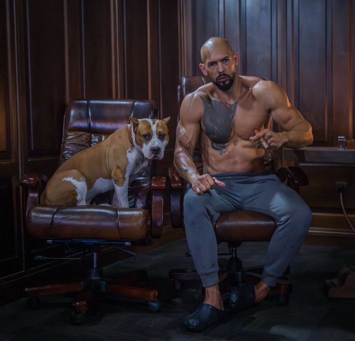 cobratate_realq's tweet image. If you are going through hell. 

Why would you stop moving forward?