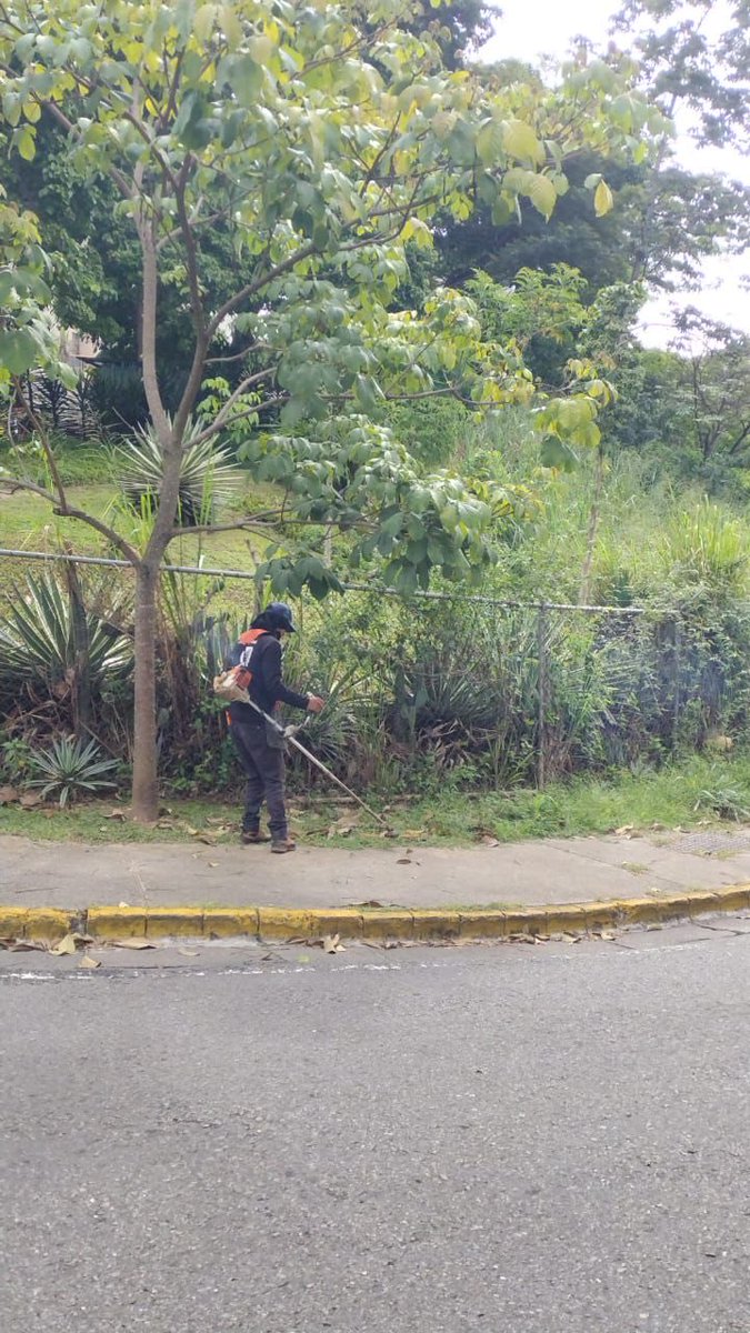 ¡Buenos días baruteños!🍃

La cuadrilla de #AcciónInmediata está desplegada en el municipio #Baruta realizando labores de:

🍃Desmalezado:
📍Sector. #HoyoDeLaPuerta 
📍Urb. #LaTrinidad
📍Urb. #LasEsmeraldas

🍃Desraizado:
📍 Urb. #PradosDelEste
