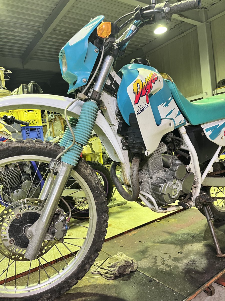 ゆゆゆ (@letsgoyuyuyusan) / Posts / X