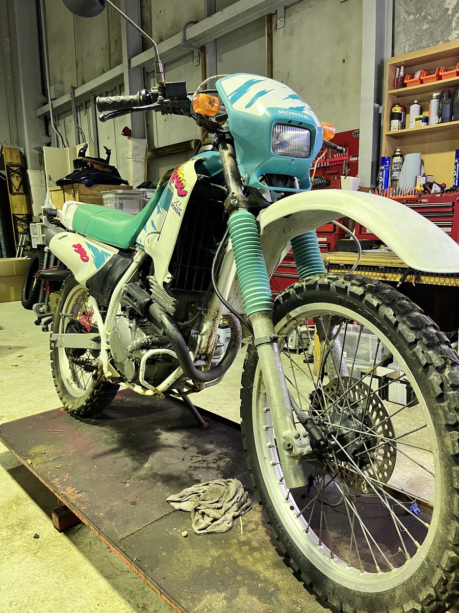 ゆゆゆ (@letsgoyuyuyusan) / Posts / X