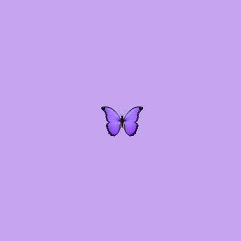 badimani_'s tweet photo. #NewProfilePic https://t.co/0HW94UWZML