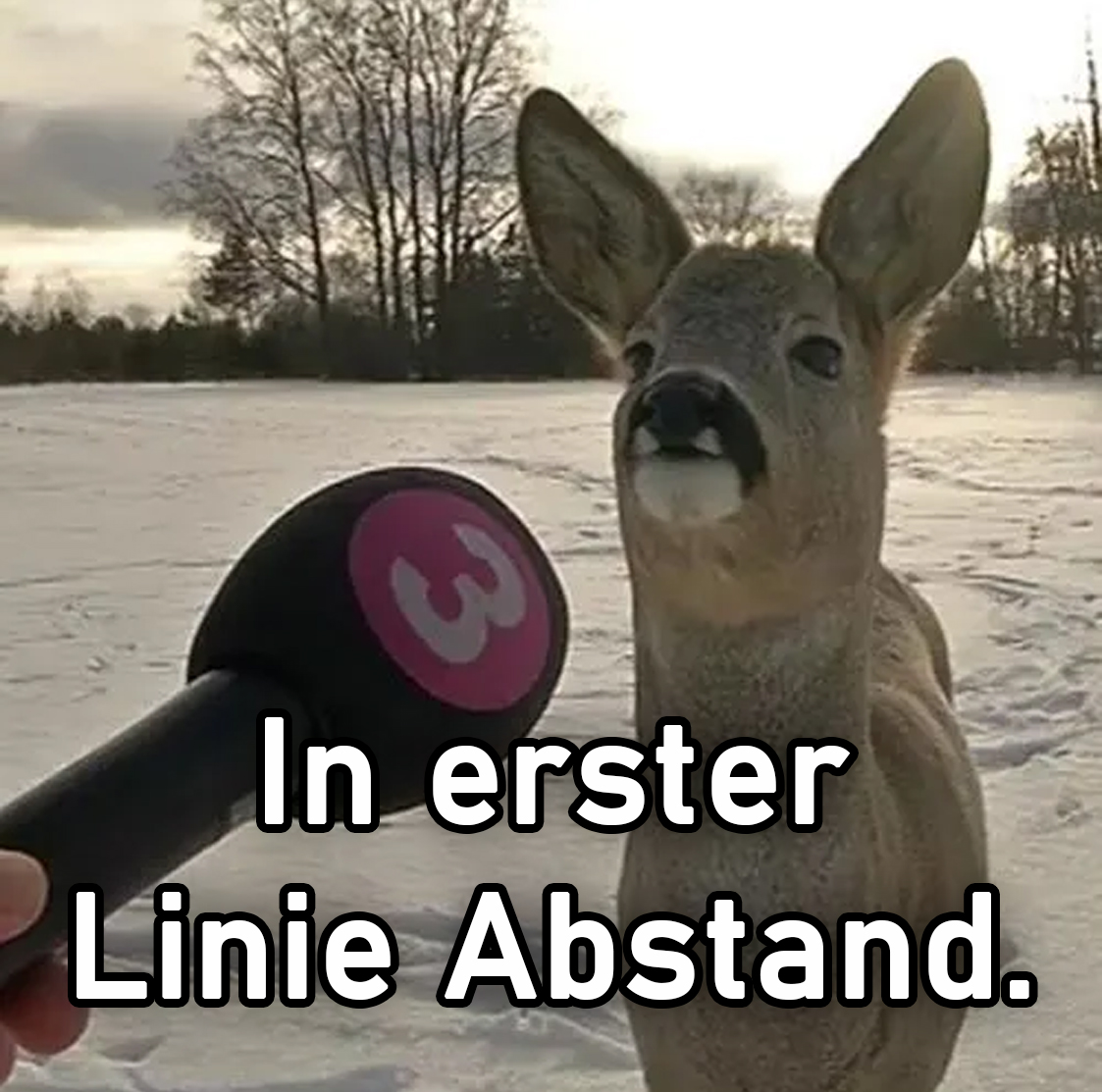 derHelper🥕🐇 | CTV+CSFS tweet media