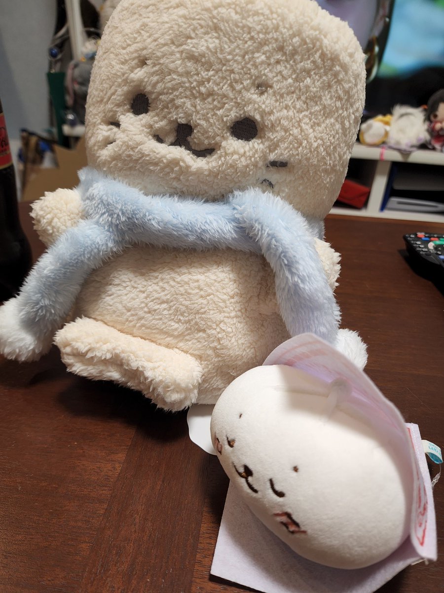 しろたんのブランケットと肉まんしろたん！
かわいい～♥️