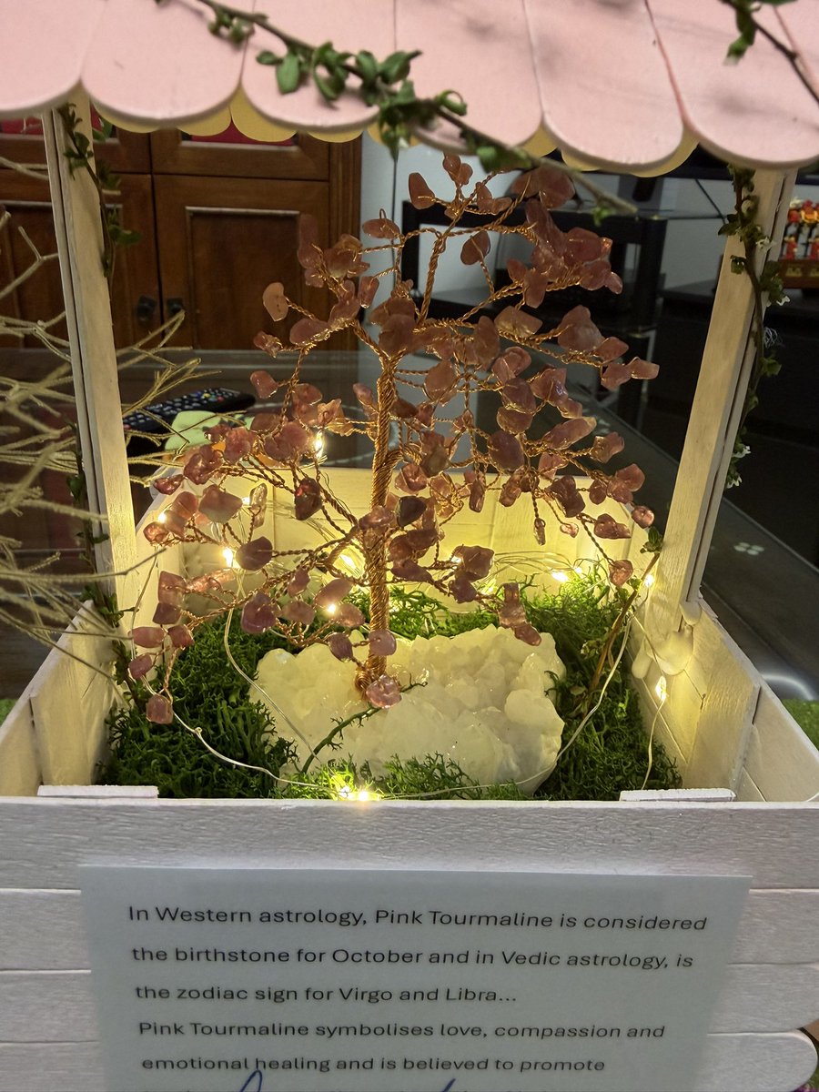 ivylimcc's tweet image. Received a personally handcrafted pink tourmaline sitting in a wishing well. For healing purposes, and it’s pretty in sight

#gratefulforallthingsbigandsmall