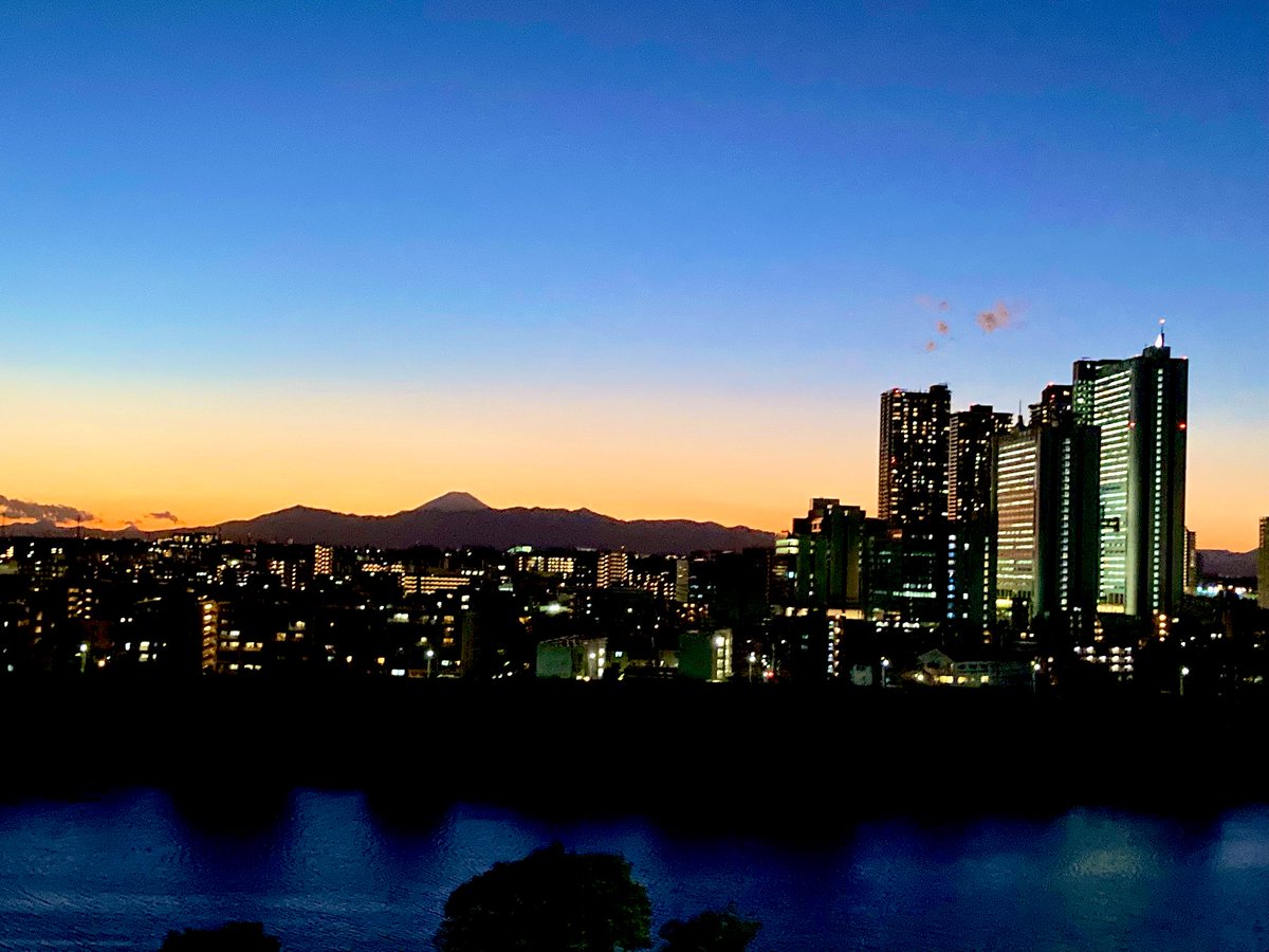 hoshiko＊ほしこ on X