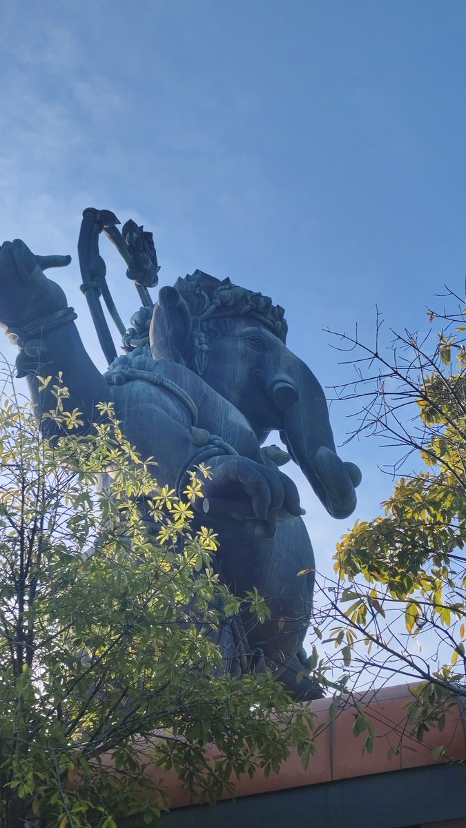 jom (@jommllcc) on Twitter photo 