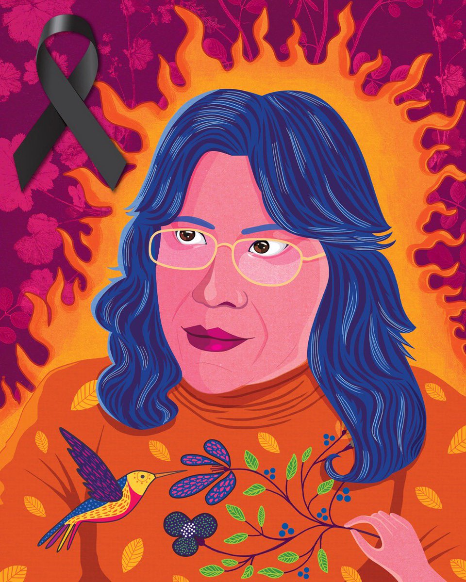 ONU-DH México tweet media