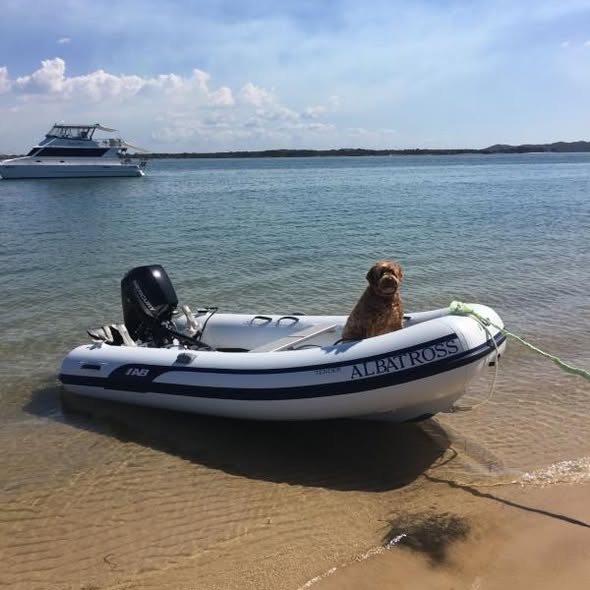 AbInflatables's tweet image. Our AL tenders are light-weight, hard-bottomed open tenders that are perfect for boats with lighter capacity davits. Featuring a tough aluminum hull for weight reduction and durability, the solidly constructed hull provides years of reliable use. #abinflatables #boating #rhib