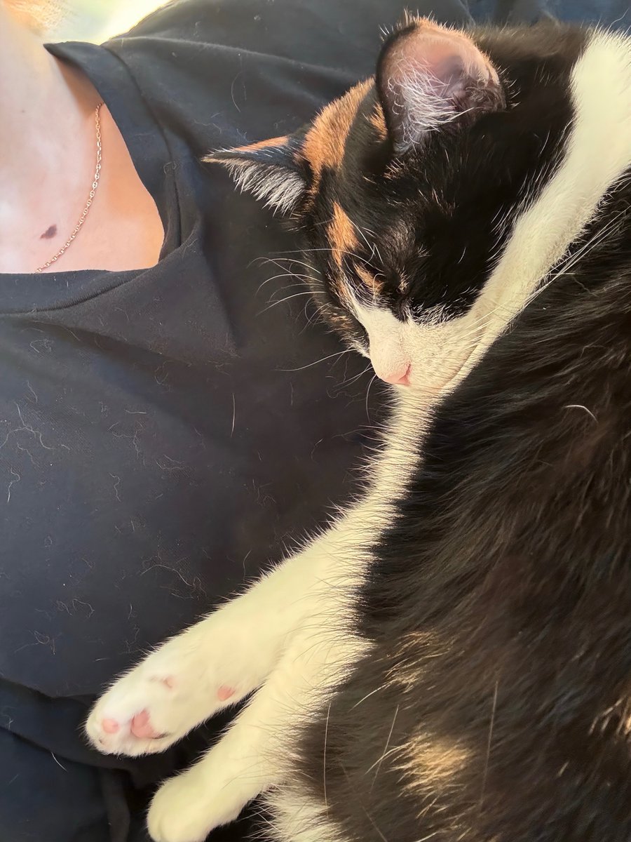 さっくん S・M・T (シャチまじ天使)