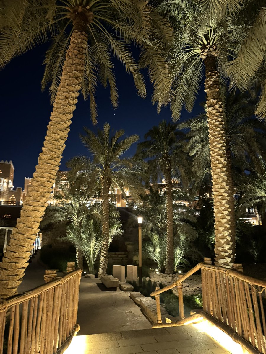 Layan 🦋 tweet media