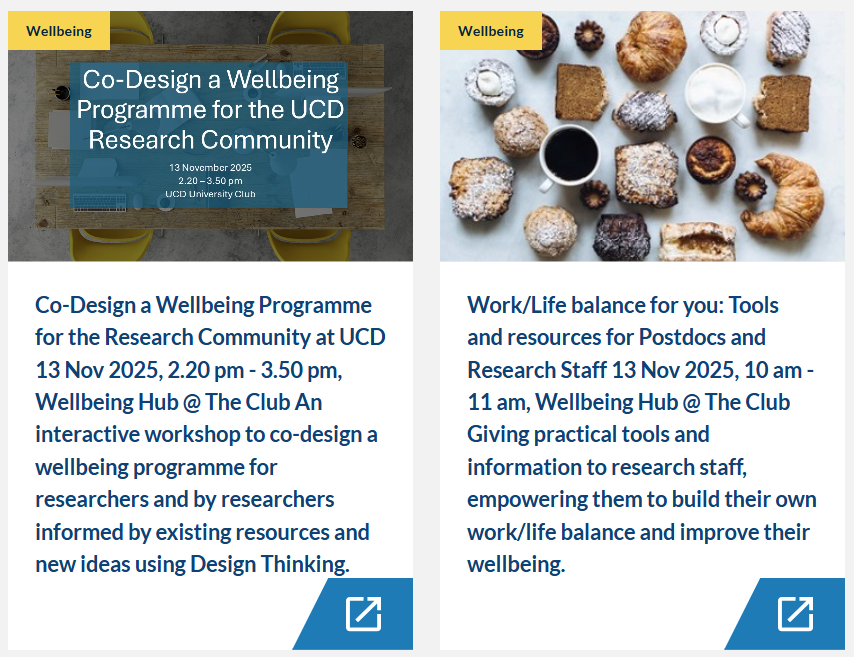 UCD Research Culture Initiative tweet media