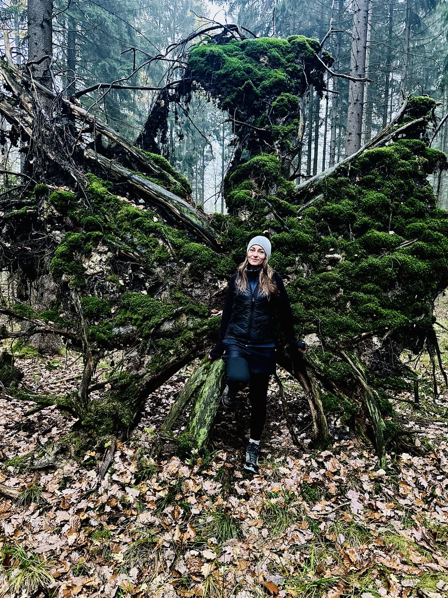 Jutro 11 listopada. 

W przededniu Święta Niepodległości, gdzieś w moim lesie…  

Zatrzymałam się. Serce mi podskoczyło.  
Po całym tym roku – biegania, próśb, pism, walki o każdy stary kawałek lasu – dostałam od niego prezent. Najprostszy i najmocniejszy.  

W ostatnim chyba