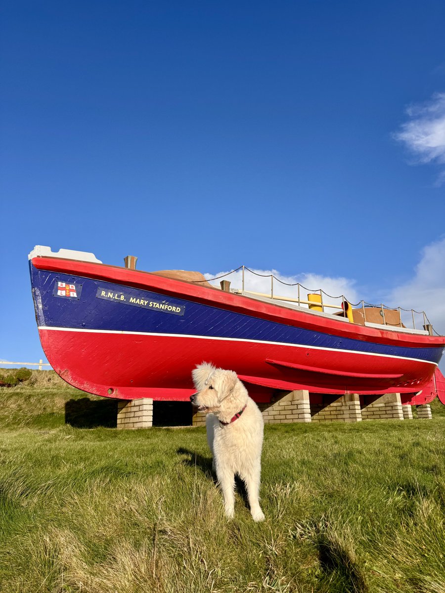 Guarding the pride of Ballycotton
The Mary Stanford herself 🛟