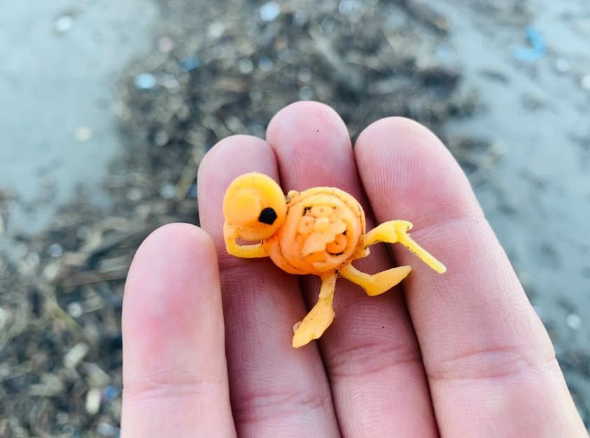 Yo fuí a EGB tweet media