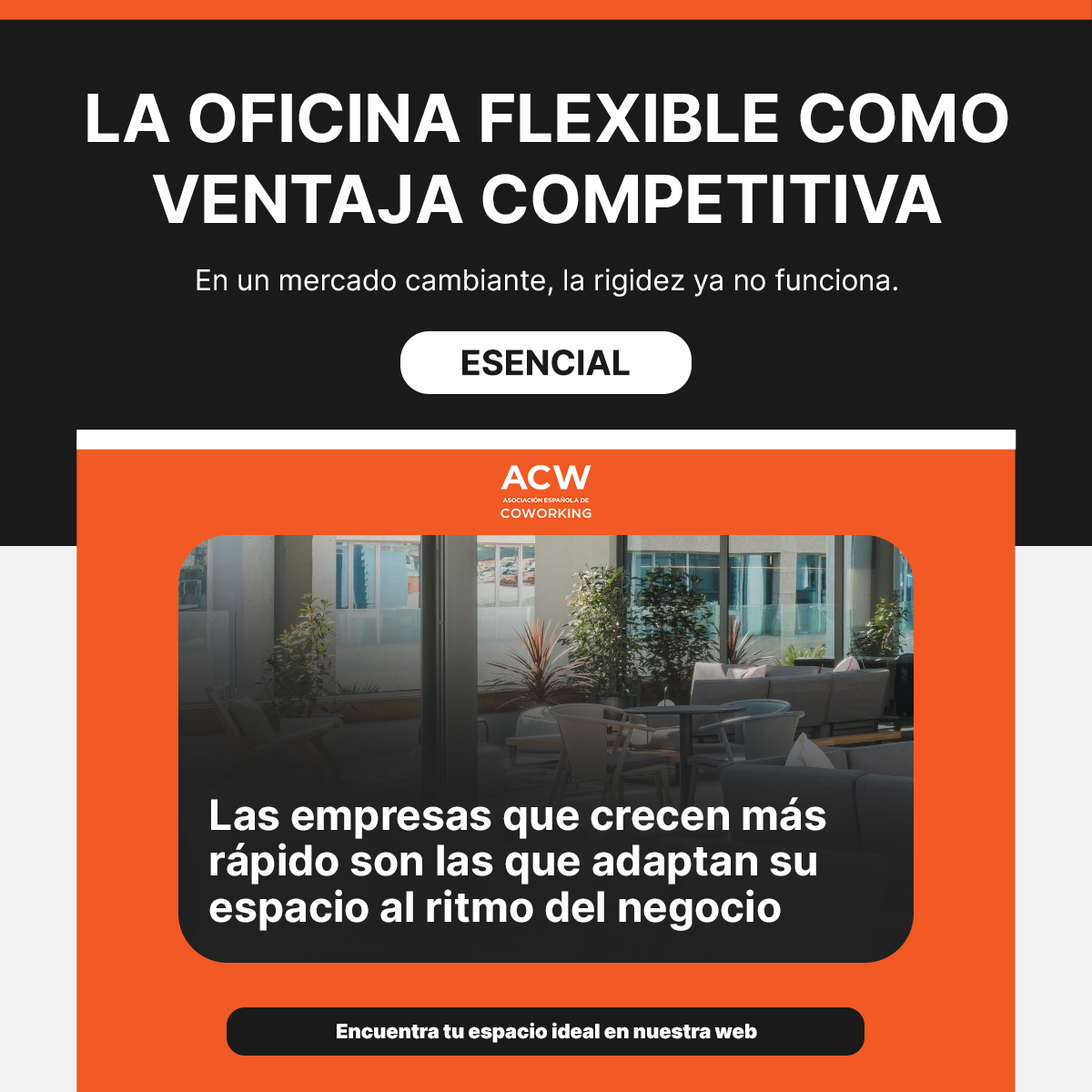 ProWorkSpaces's tweet image. La oficina flexible como ventaja competitiva🚀

En un mercado cambiante, la rigidez ya no funciona. Las empresas que crecen más rápido son las que adaptan su espacio al ritmo del negocio💼

Equipos híbridos, contratos dinámicos y espacios escalables.