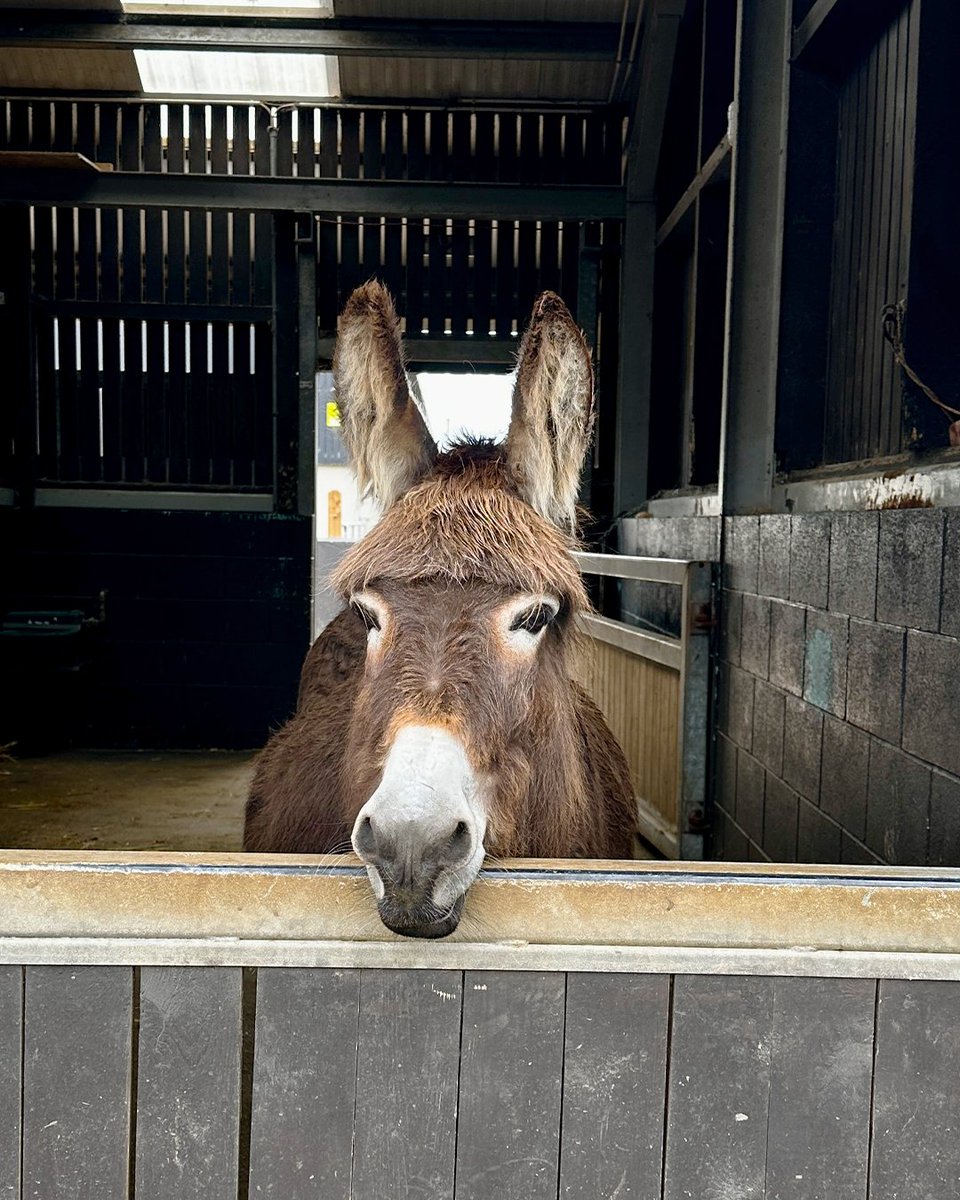 Happy Monday from Felicity! 🫶😍