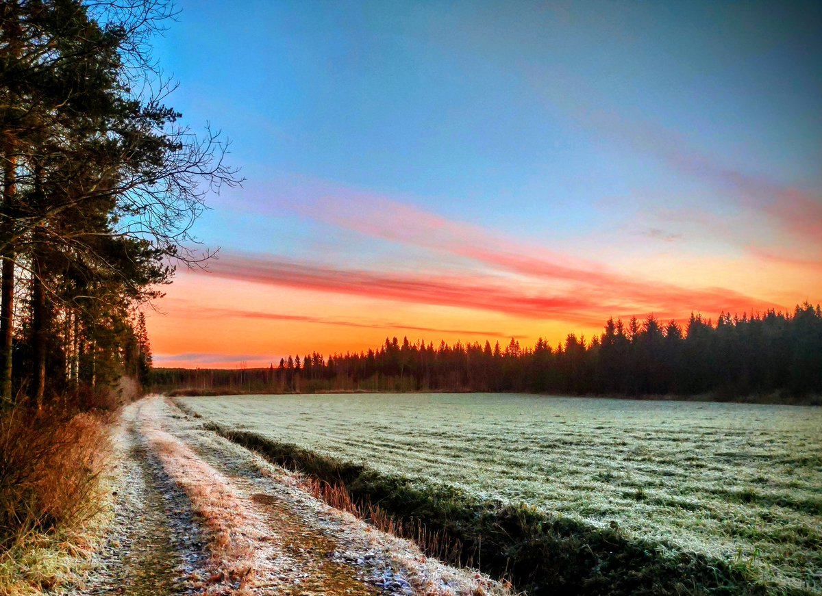 Marraskuun parhautta! #pakkasaamu #sotkamo #kainuu