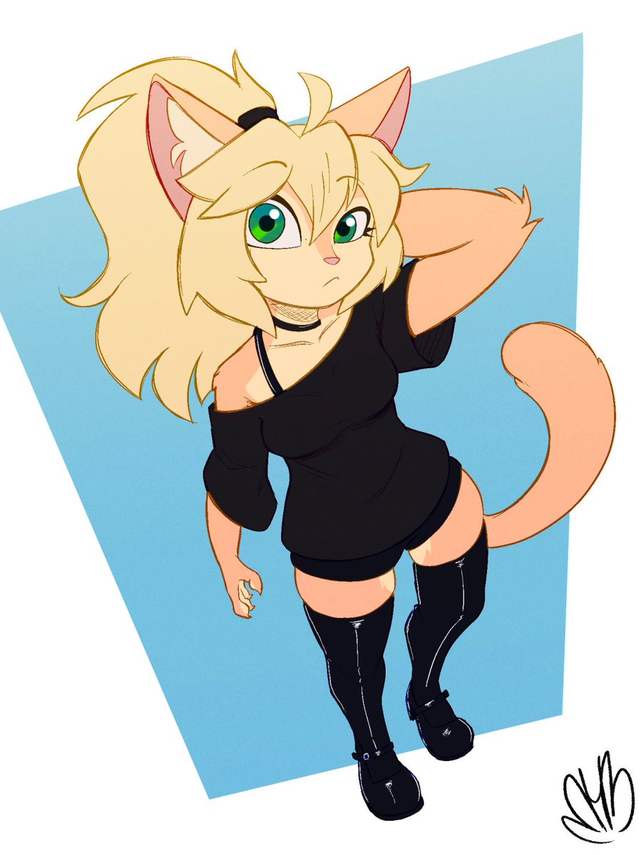 🍊Citrus Cat🍊 tweet media