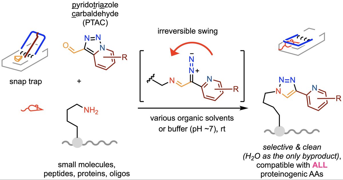 Gong Chen tweet media