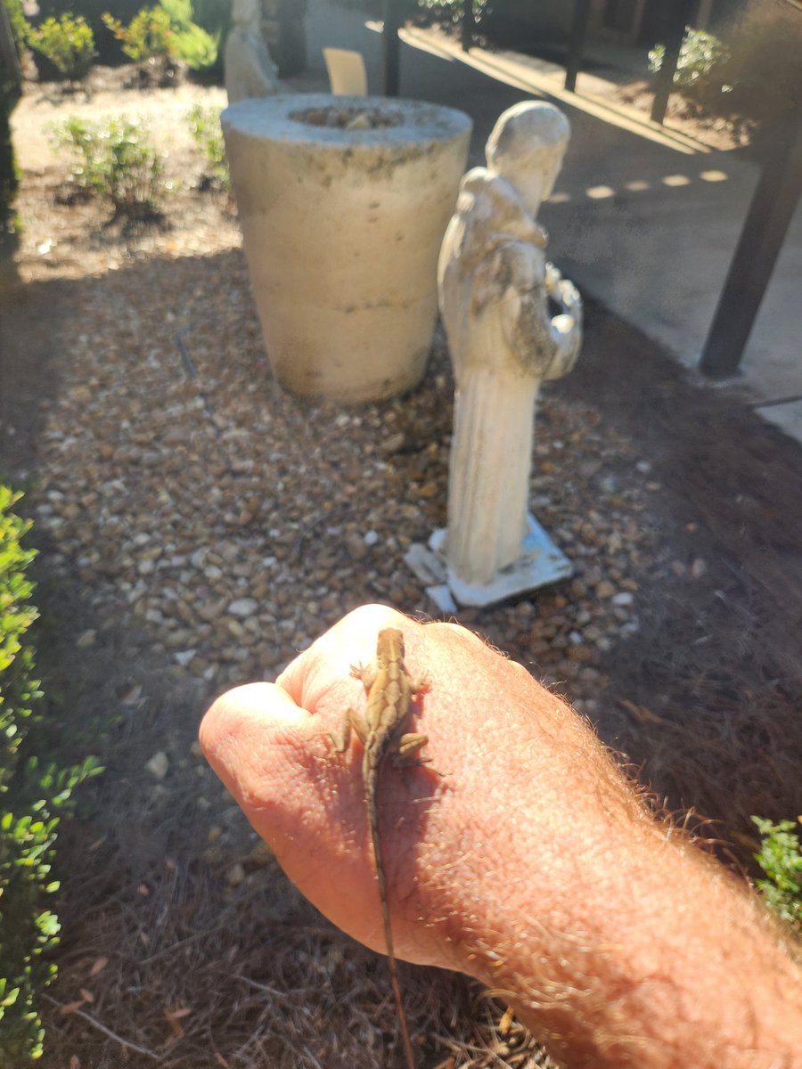 Warming a new friend up.