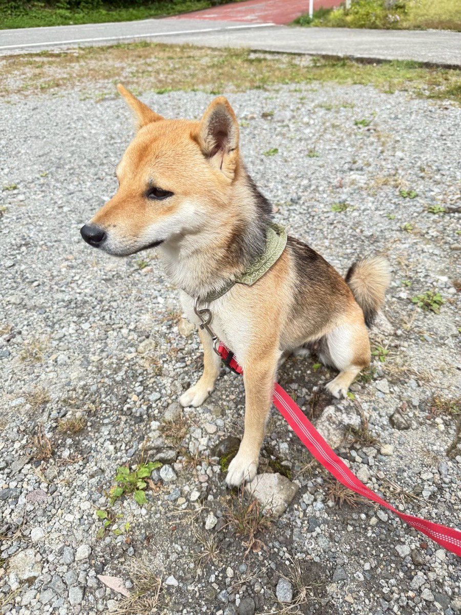 Happy birthday San Chan!! 🎂🎈 Thank you for being my travel partner/best friend and making this year unforgettable! Many more to come 😊