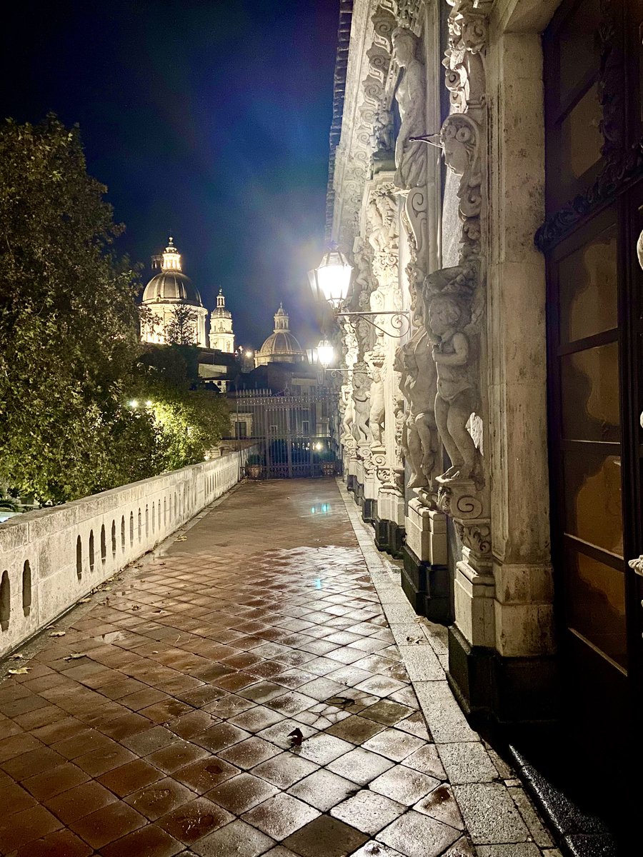 arcomelo2013's tweet image. Un luogo che non si vorrebbe più lasciare
Palazzo Biscari, Catania
❤️