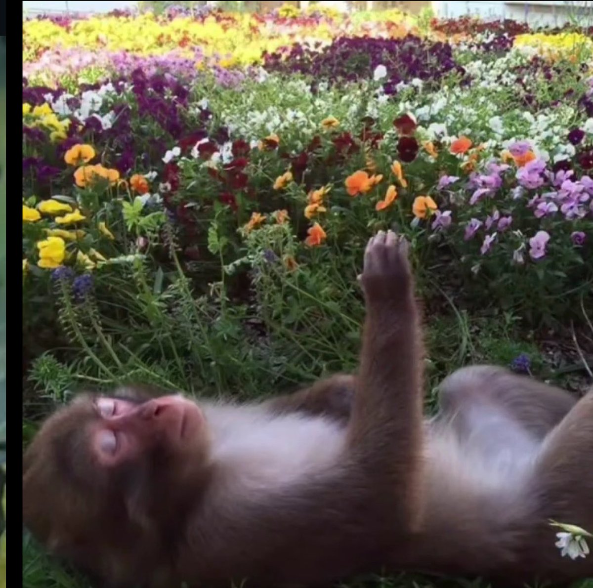 غريبو : 

الجوء هاذي الفترة شي رهيب :