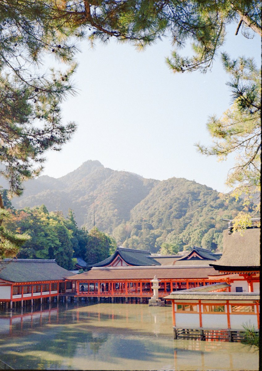 ナラカメラ (@kai_photo2525) / Posts / X