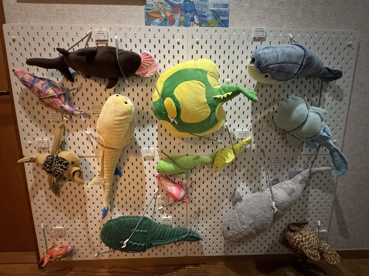 フィストエイリアン ウォッシュ ティンプー フィストエイリアン