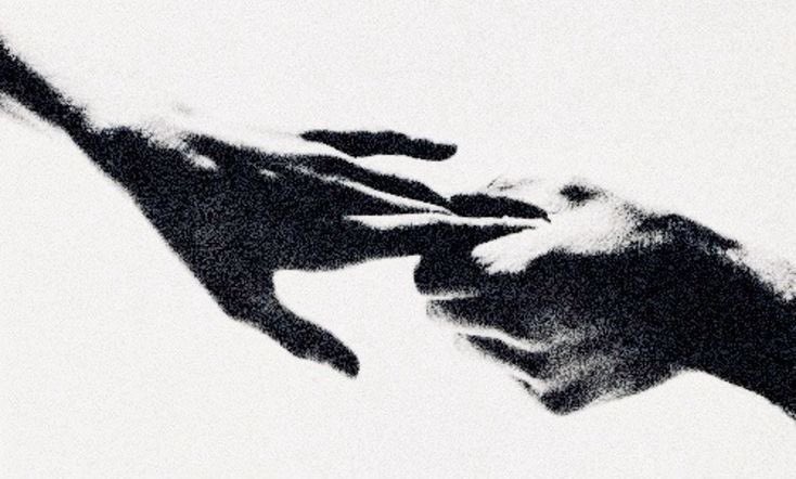 Larudu Repeke tweet media