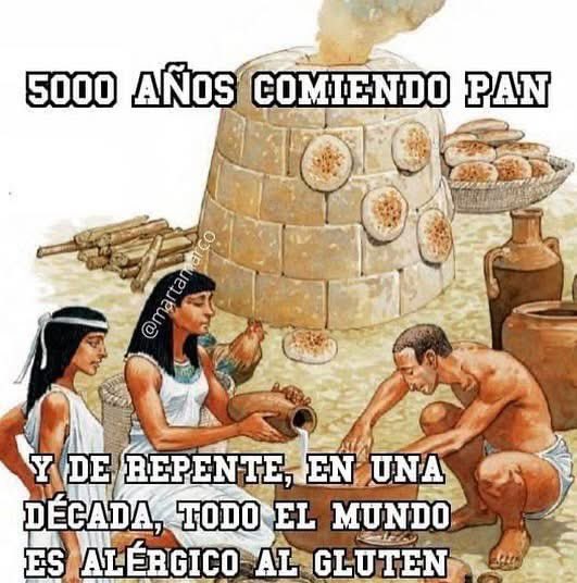 Señora Católica tweet media