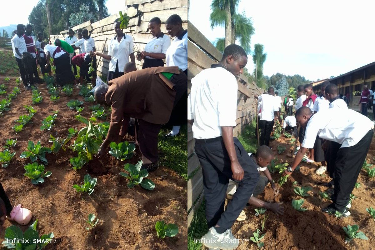 IFAWE2024's tweet photo. IFAWE, together with the Environment Club at G.S. Uwinkomo, is currently implementing an ongoing initiative to green the school through the planting of fruit trees and vegetables. https://t.co/nulTJehzuV