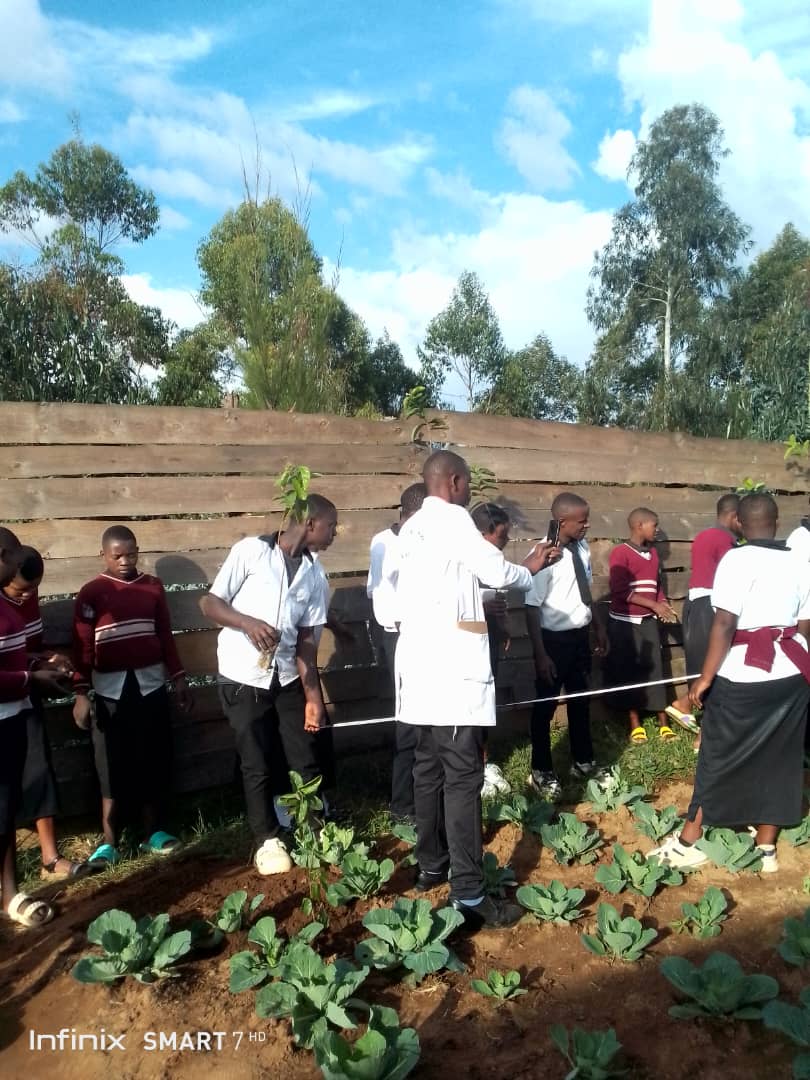 IFAWE2024's tweet photo. IFAWE, together with the Environment Club at G.S. Uwinkomo, is currently implementing an ongoing initiative to green the school through the planting of fruit trees and vegetables. https://t.co/nulTJehzuV